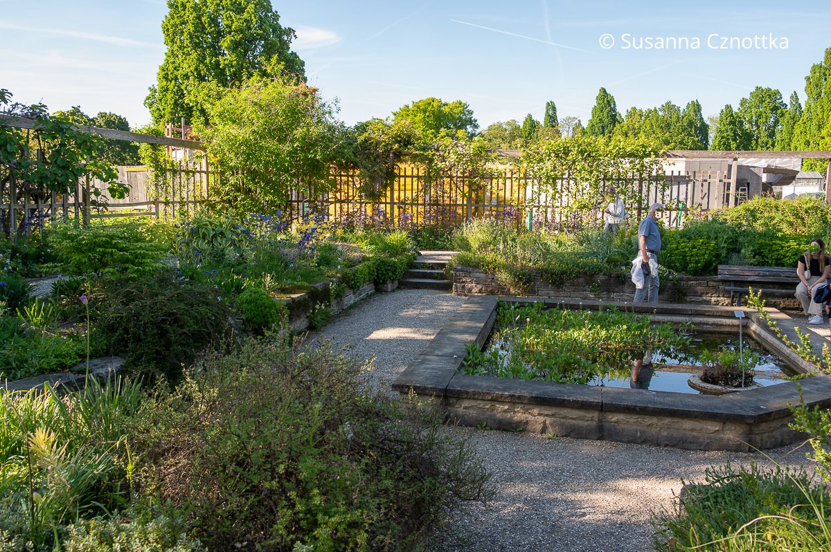 Senkgarten im Berggarten Hannover mit einem formalen Wasserbecken in der Mitte