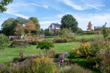 Hanggarten: Blick über den Homberggarten von Claudia Plake und Udo Klempt-Gießing Blick über den Homberggarten von Claudia Plake und Udo Klempt-Gießing mit Inselbeeten und hohen Bäumen