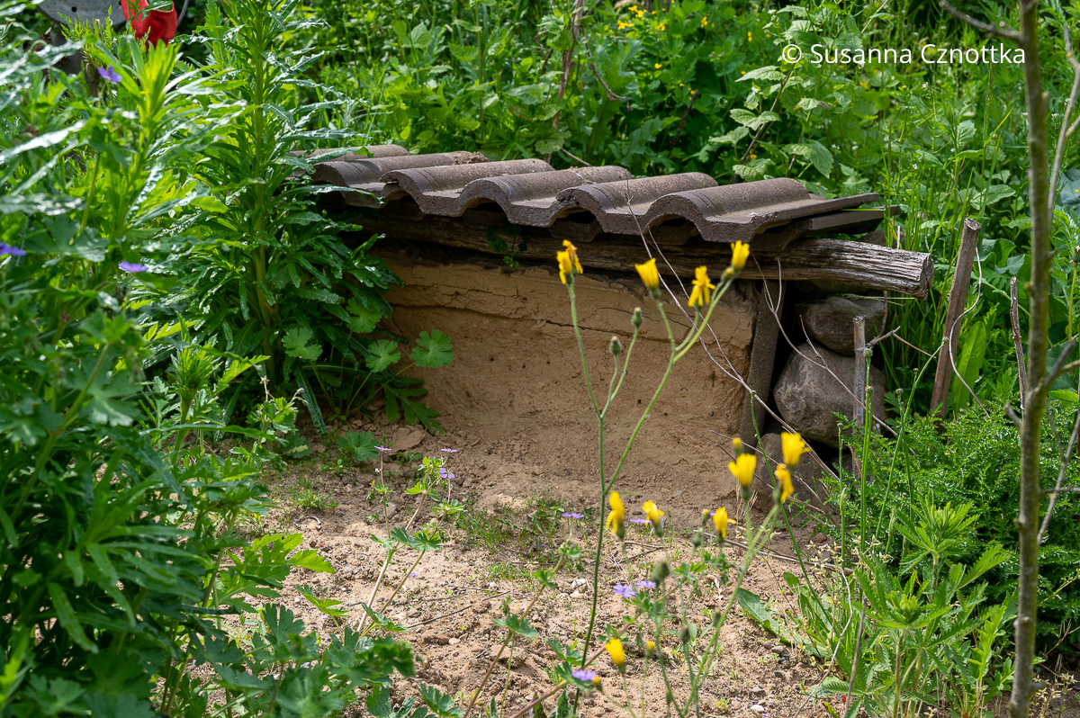Naturnaher Garten: Sandarium und Lehmwand für Wildbienen