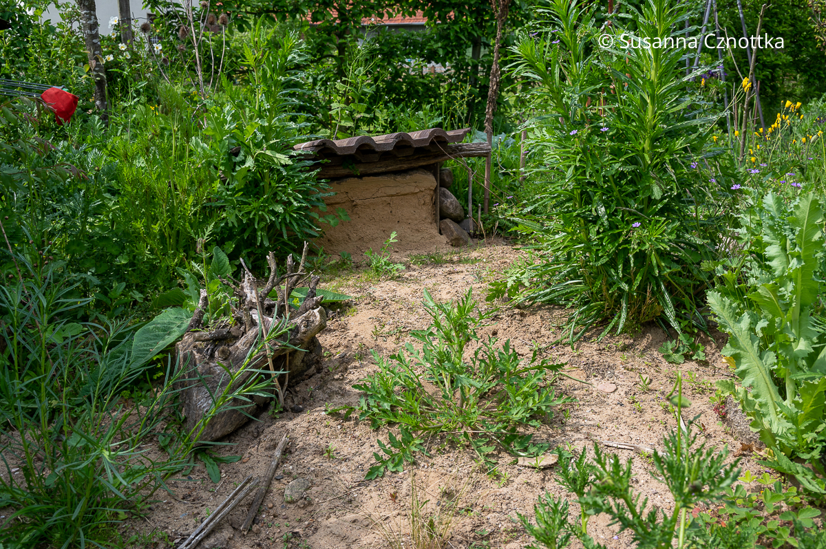 Naturnaher Garten: Sandarium und Lehmwand für Wildbienen