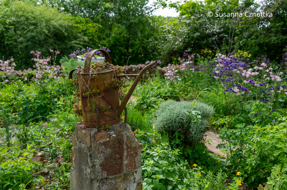 Upcycling im Garten: eine alte Gießkanne wird zur Skulptur