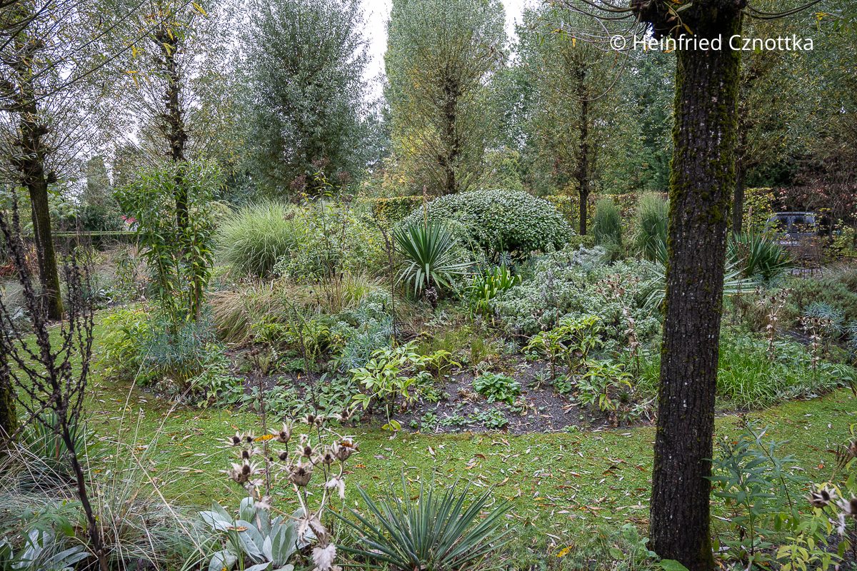 Blick in den Silbergarten Blick in den Silbergarten