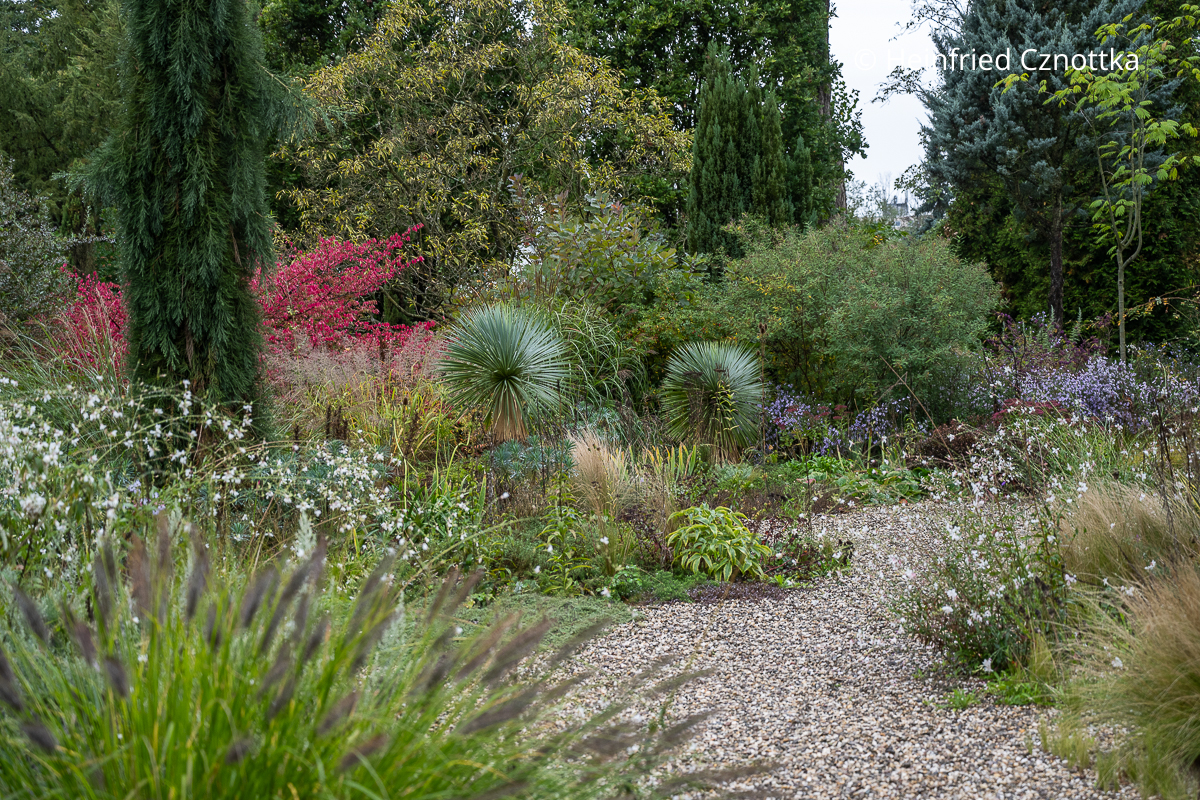 Klimagerecht gärtnern: Kiesgarten im Garten von Peter Janke in Hilden Blick in den Kiesgarten im Garten von Peter Janke in Hilden