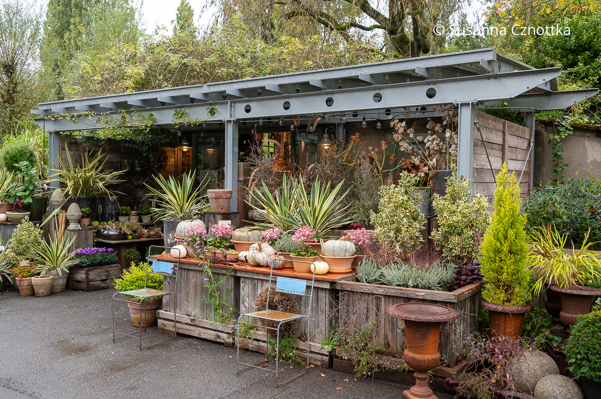 Verkaufsstand für Floristik und Gartendekorationen in der Gärtnerei Peter Janke in Hilden Verkaufsstand für Floristik und Gartendekorationen in der Gärtnerei Peter Janke in Hilden