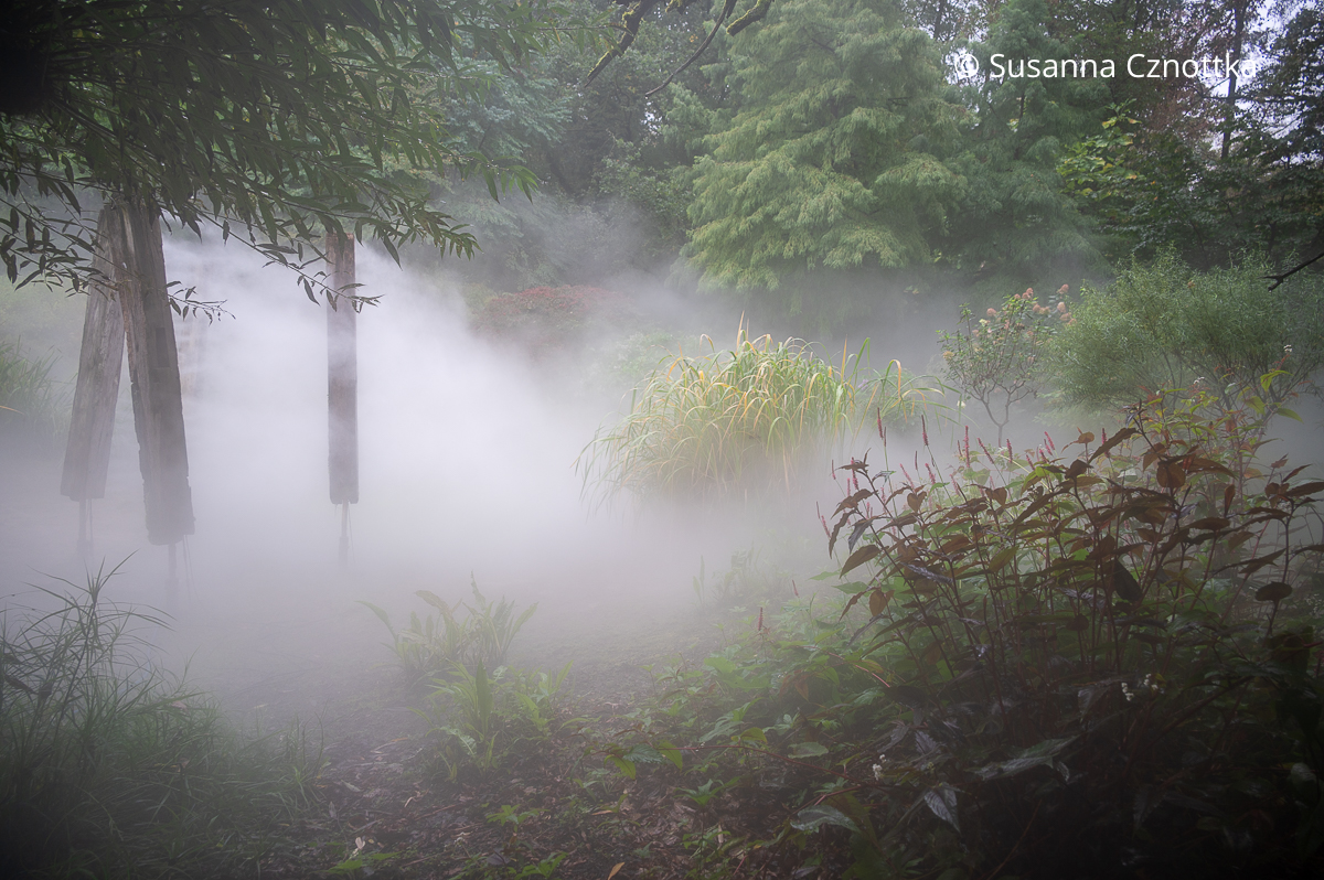 Hölzerne Stelen versprühen Nebel im Hortvs von Peter Janke Hölzerne Stelen versprühen Nebel im Hortvs von Peter Janke