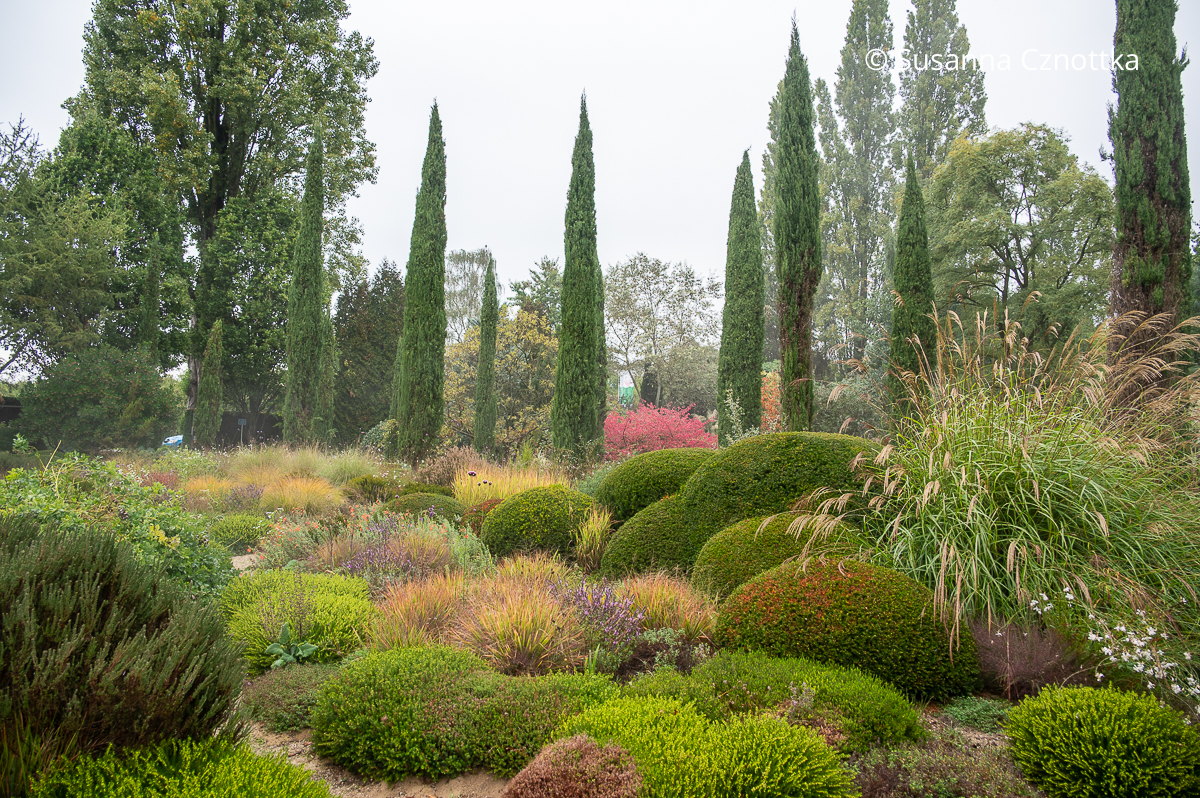 Der Garrigue-Garten im Hortvs von Peter Janke