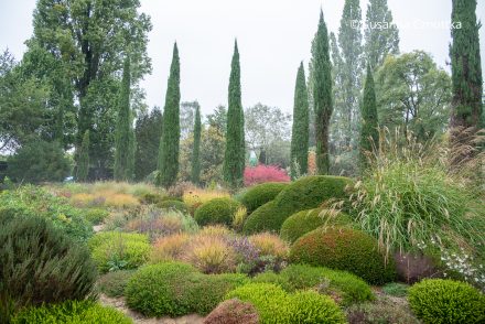Der Heide-Garrigue-Garten im Hortvs von Peter Janke Der Heide-Garrigue-Garten im Hortvs von Peter Janke