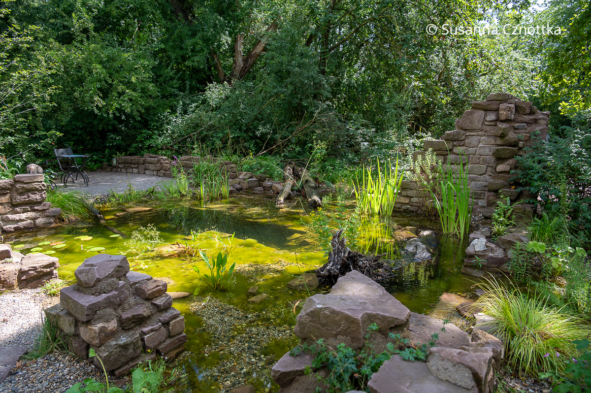 Nachhaltigkeit im Garten: mit vorhandenem Stein und Totholz gestalteter Wassergarten