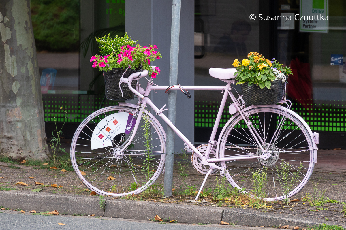 Ein buntes bepflanztes Fahrrad