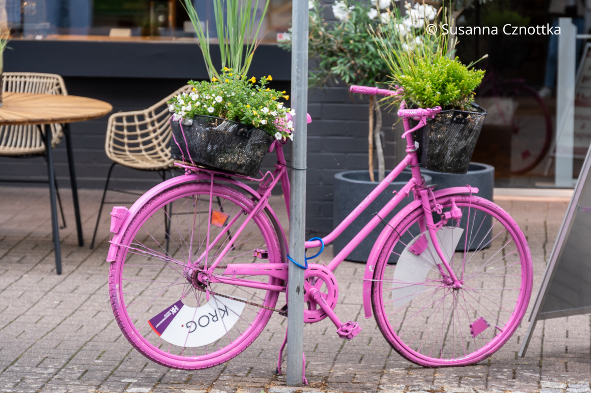 Ein buntes bepflanztes Fahrrad