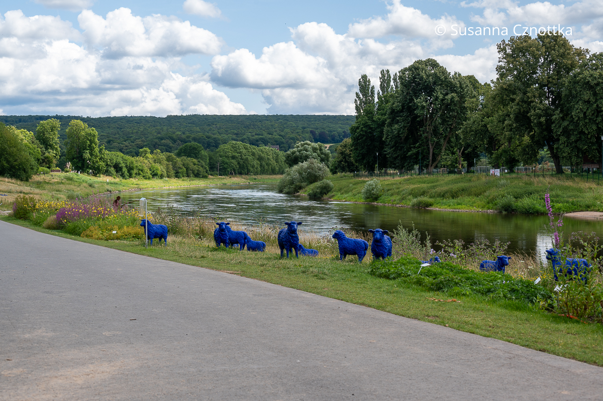 Blaue Schafe an der Weser