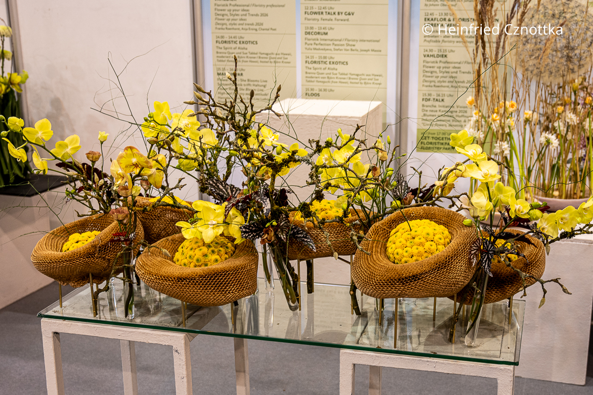 Florale Kunst mit gelben Chrysanthemen, Orchideen und wabenähnlichen Strukturen