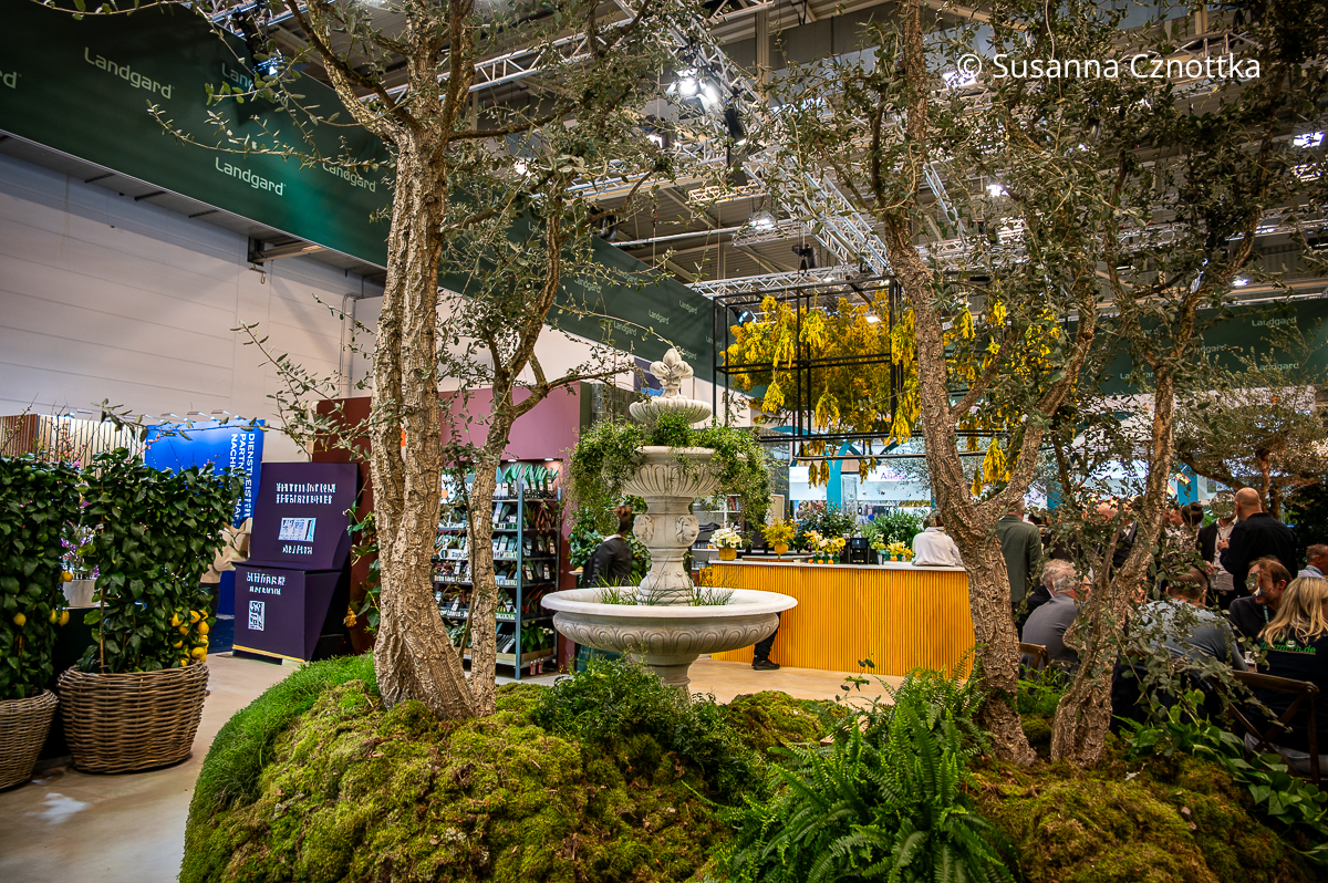 Ein bepflanzter Springbrunnen und Kork-Eichen auf einem Stand auf der IPM Essen