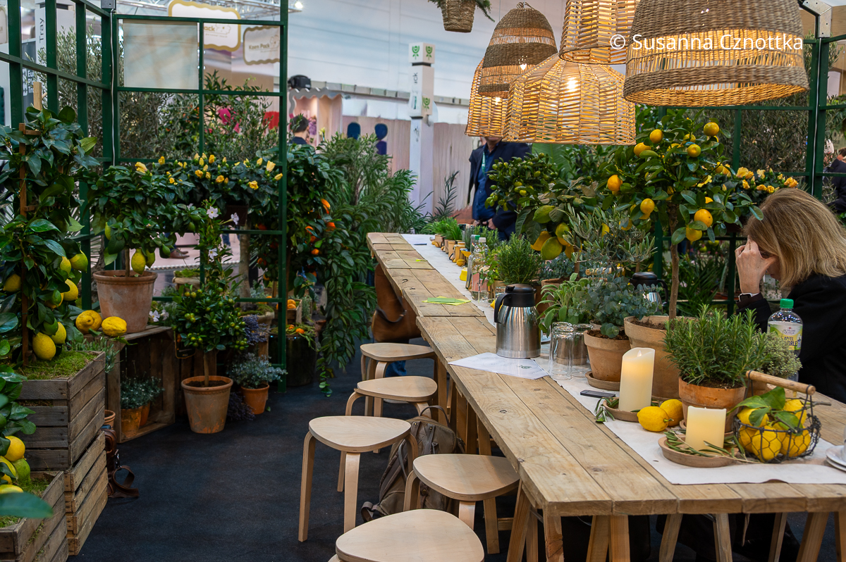 Messestand mit Zitronen und mediterranen Kräutern in Töpfen