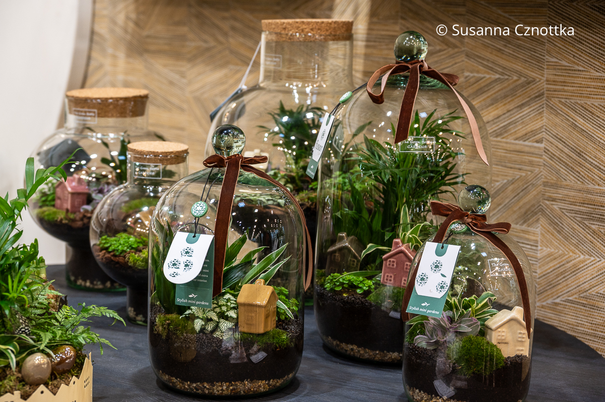 Nostalgischer Trend mit Pflanzen: Flaschengärten