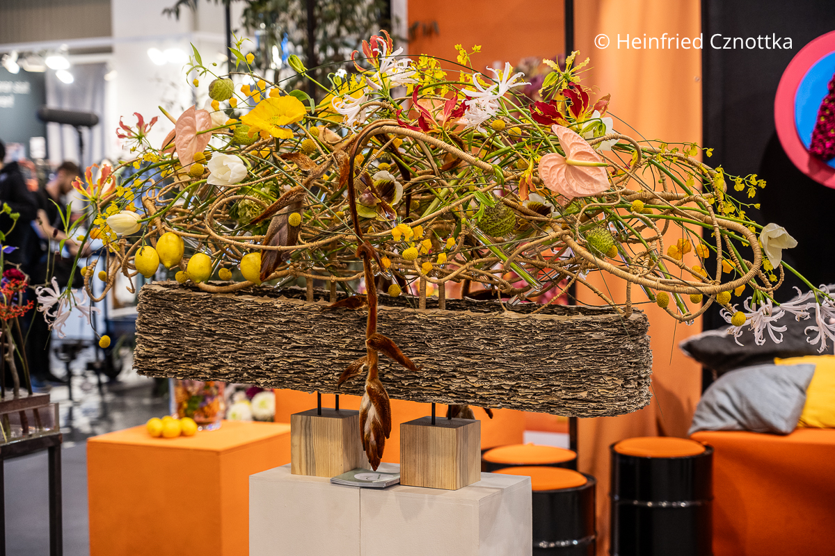 Eine Schale aus Stücken von braunem Karton mit einem "bewegten" Gesteck mit Anthurien und Zitronen