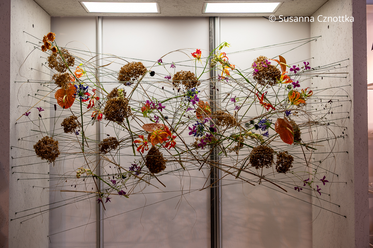 Filigrane Floristik: "schwebende Blüten" zwischen im Raum gespannten Schnüren