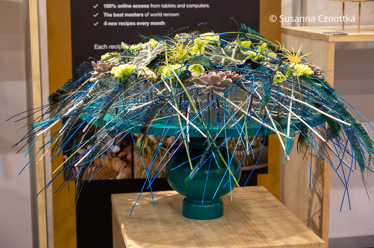 Ein Gesteck mit metallisch glänzenden blauen Schnüren, Echeverien und Lenzrosenblüten