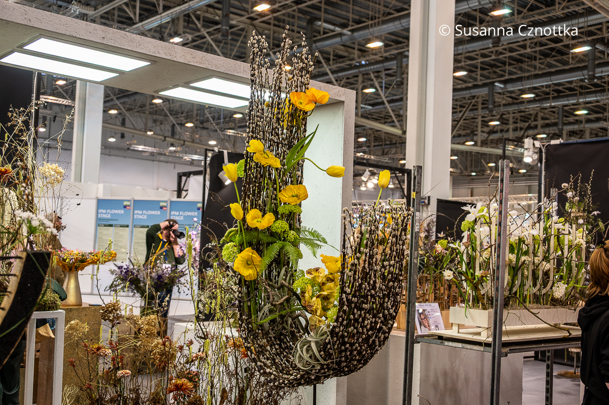 Geschwungene Form aus Weidenzweigen mit gelbem Mohn und grünen Schneeballblüten