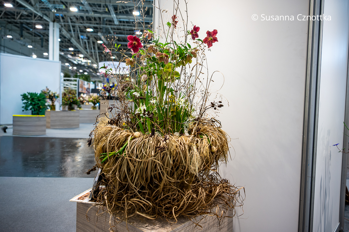 Pflanzschale aus Chinaschilf mit Frühblühern