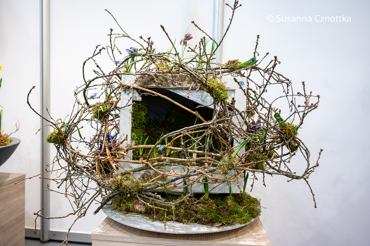 Ein alter Monitor, in dem Frühblüher sprießen