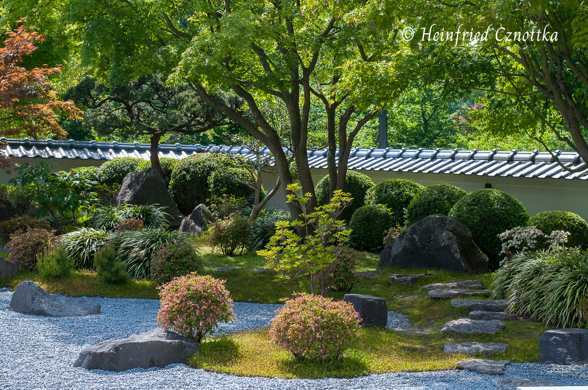 Japanischer Garten Bielefeld, die Trittsteine lenken das Auge des Betrachters.