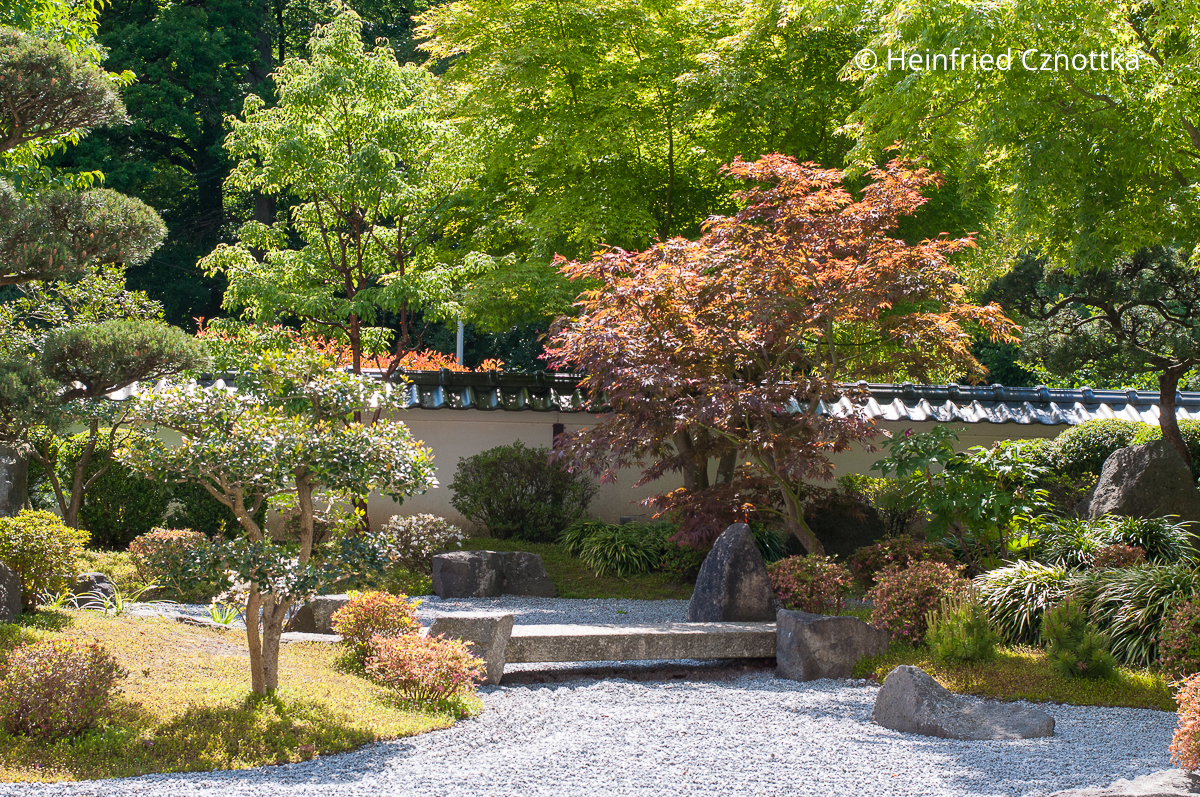 Bäume, Kies und Mauer Im Japanischen Garten Bielefeld