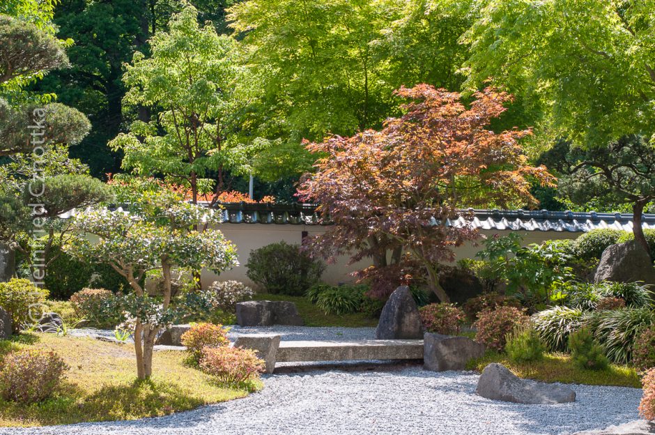 Im Japanischen Garten Bielefeld