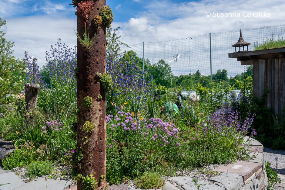 Landesgartenschau BadenWürttemberg 2024 Wangen im Allgäu Einfach