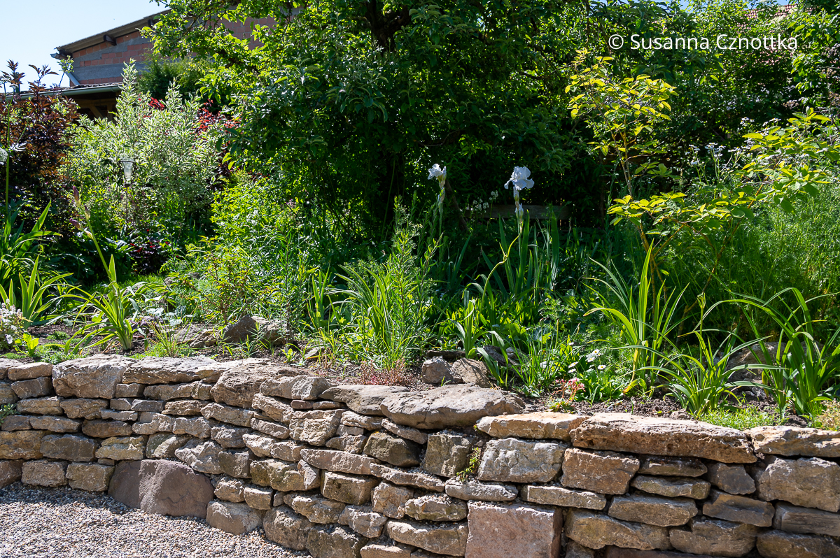 Eine kleine Natursteinmauer im Garten
