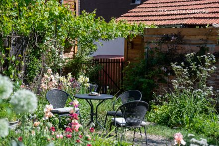 Naturnaher Garten: ein Sitzplatz inmitten von Blüten