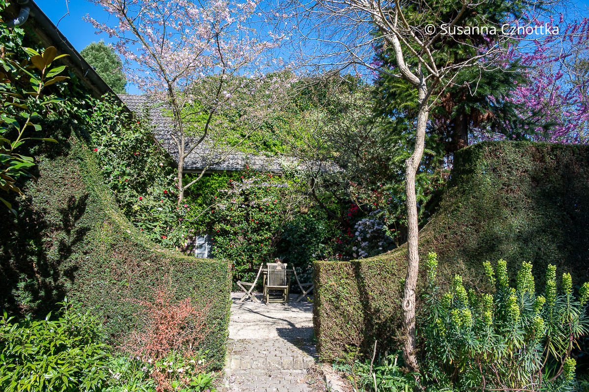 Ein runder Einschnitt in einer Eibenhecke erlaubt Einblicke in den Gartenraum dahinter.