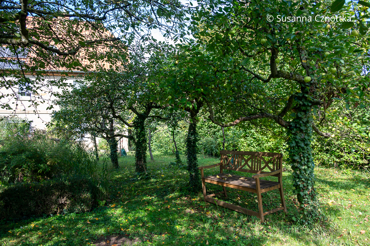 Eine Bank im Schatten von Obstbäumen Eine Bank im Schatten von Obstbäumen