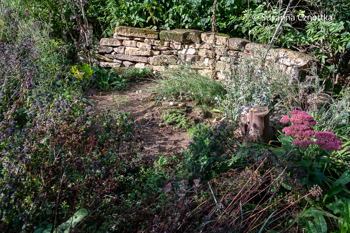 Insektenfreundlicher Garten: ein Sandarium bietet Nistmöglichkeiten für Wildbienen Insektenfreundlicher Garten: ein Sandarium bietet Nistmöglichkeiten für Wildbienen