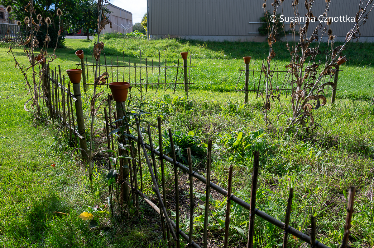 Naturnaher Garten: Markhaltige Stängel bieten Wildbienen Nistmöglichkeiten. Naturnaher Garten: Markhaltige Stängel bieten Wildbienen Nistmöglichkeiten.