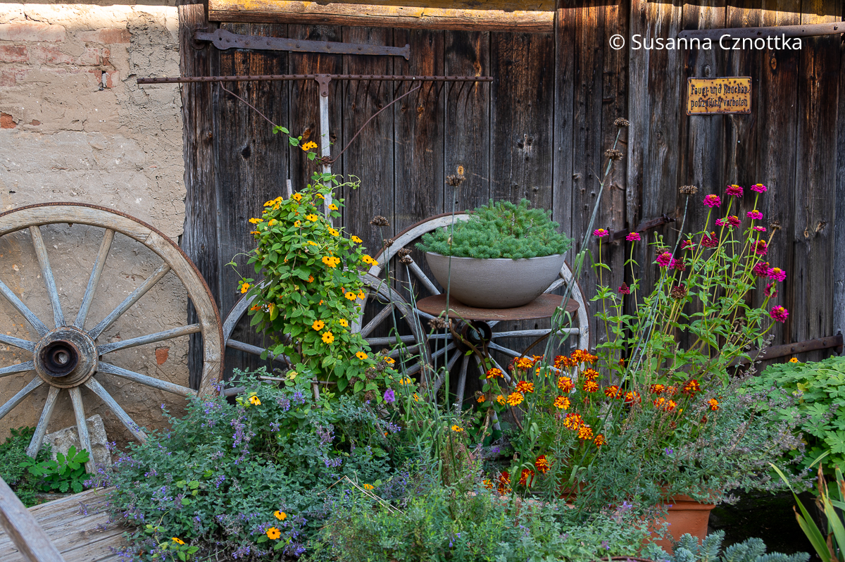 Ländlicher Charme: alte Wagenräder, ein alter Rechen und blühende Stauden und Einjährige Ländlicher Charme: alte Wagenräder, ein alter Rechen und blühende Stauden und Einjährige