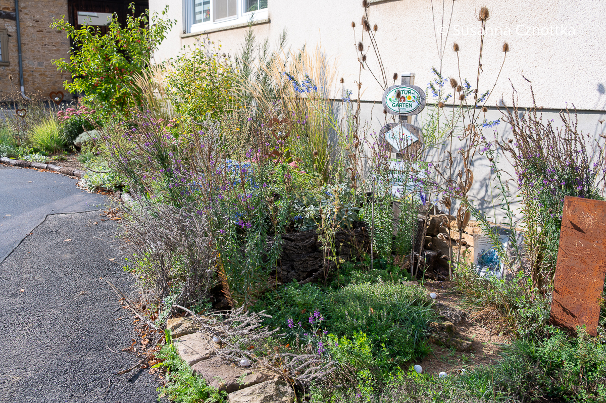 Entsiegelung: Ein Stück Asphalt wurde entfernt und ein Beet angelegt. Entsiegelung: Ein Stück Asphalt wurde entfernt und ein Beet angelegt.