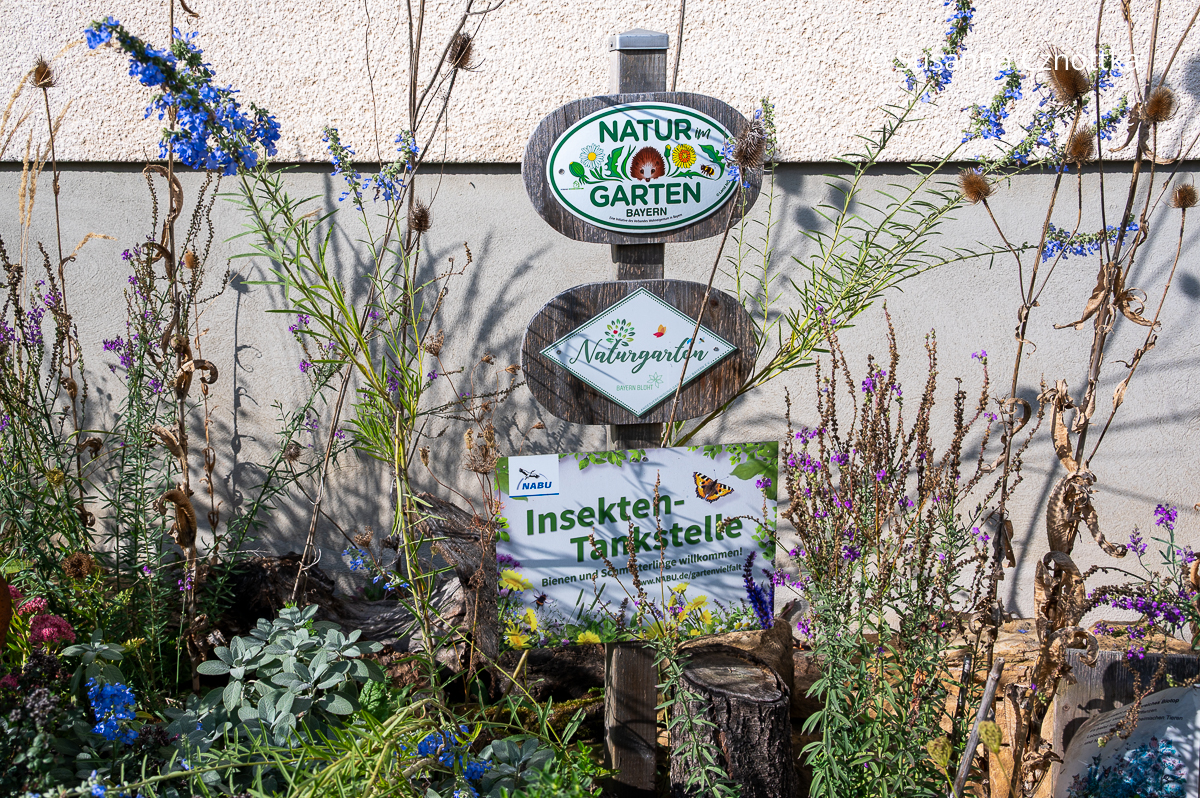 Plaketten von "Natur im Garten Bayern" und "Naturgarten" zeichnen naturnahe Gärten aus. Plaketten von "Natur im Garten Bayern" und "Naturgarten" zeichnen naturnahe Gärten aus.
