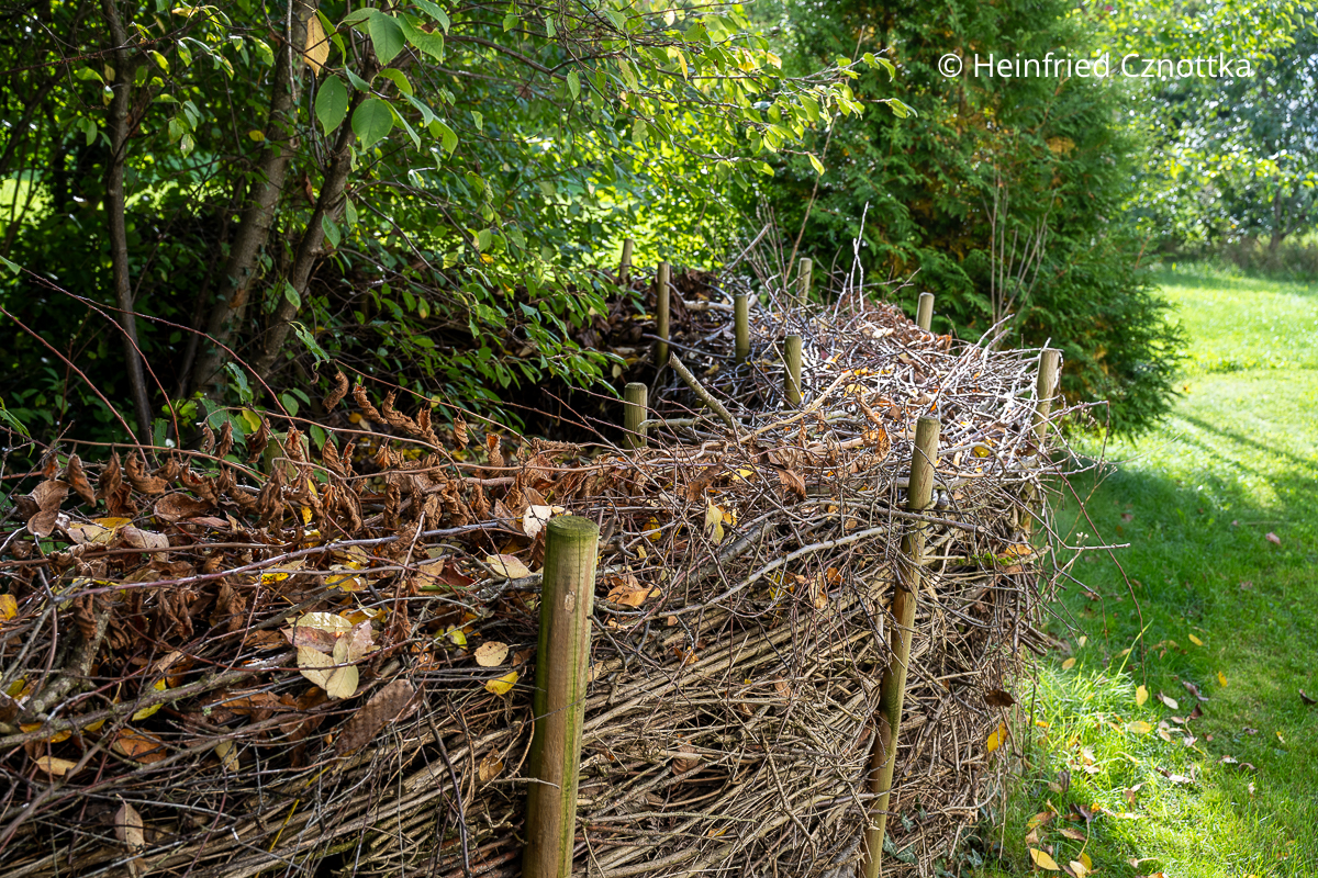 Naturnaher Garten: ein Totholzwall bietet Lebensraum für kleine Tiere Naturnaher Garten: ein Totholzwall bietet Lebensraum für kleine Tiere