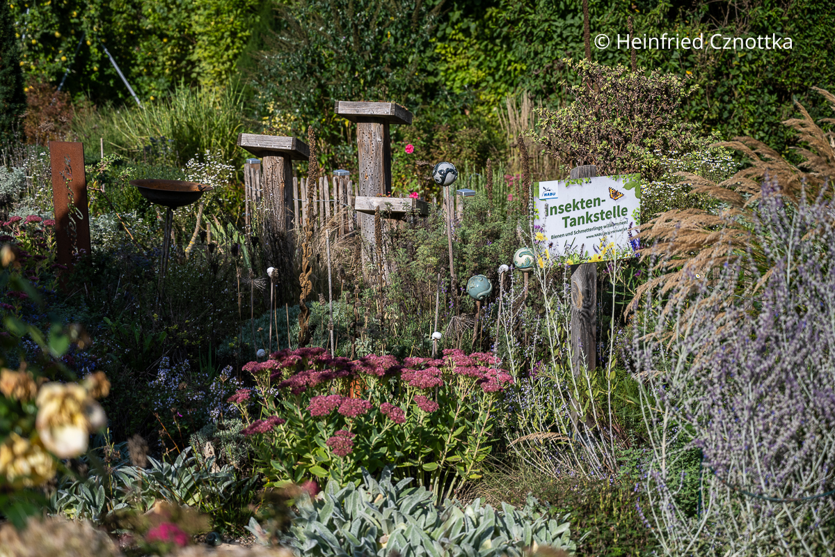 Gartenidee: Insektenhotels mit Minibeeten zum Schutz des Stirnholzes Gartenidee: Insektenhotels mit Minibeeten zum Schutz des Stirnholzes