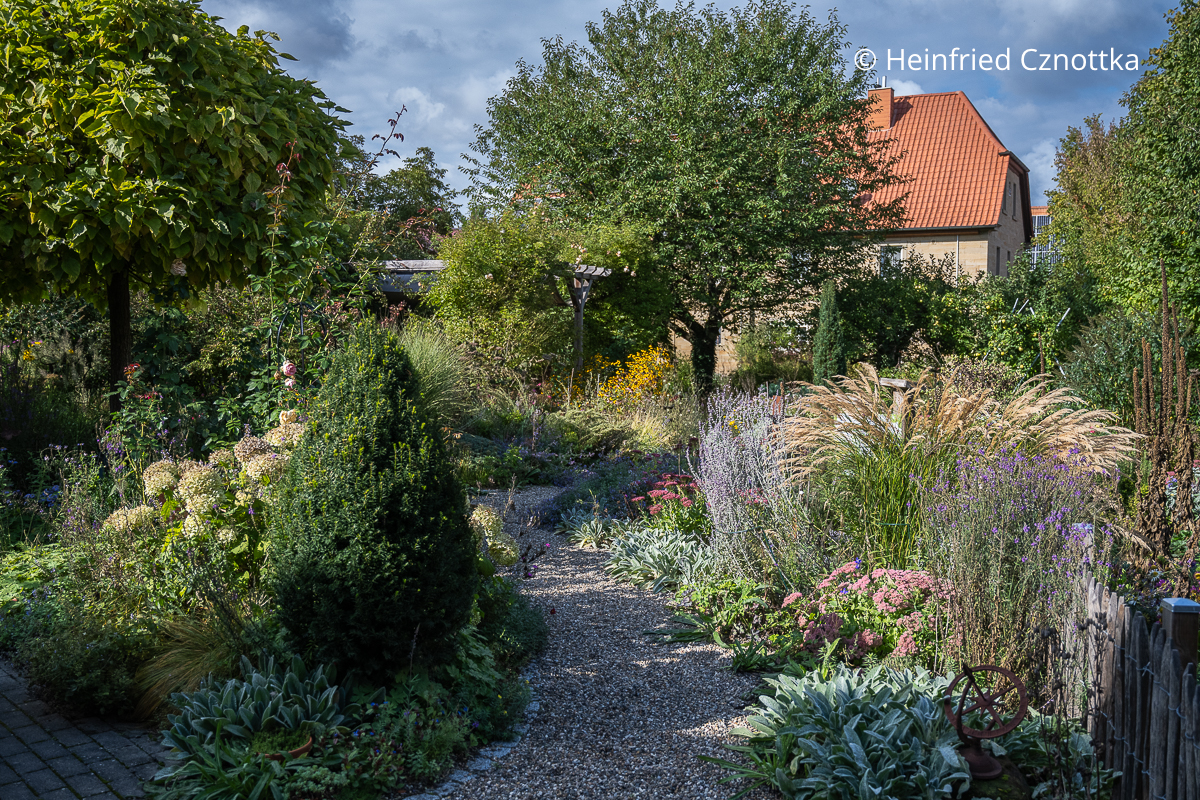 Ein Kiesweg führt durch ein sonniges Staudenbeet Ein Kiesweg führt durch ein sonniges Staudenbeet