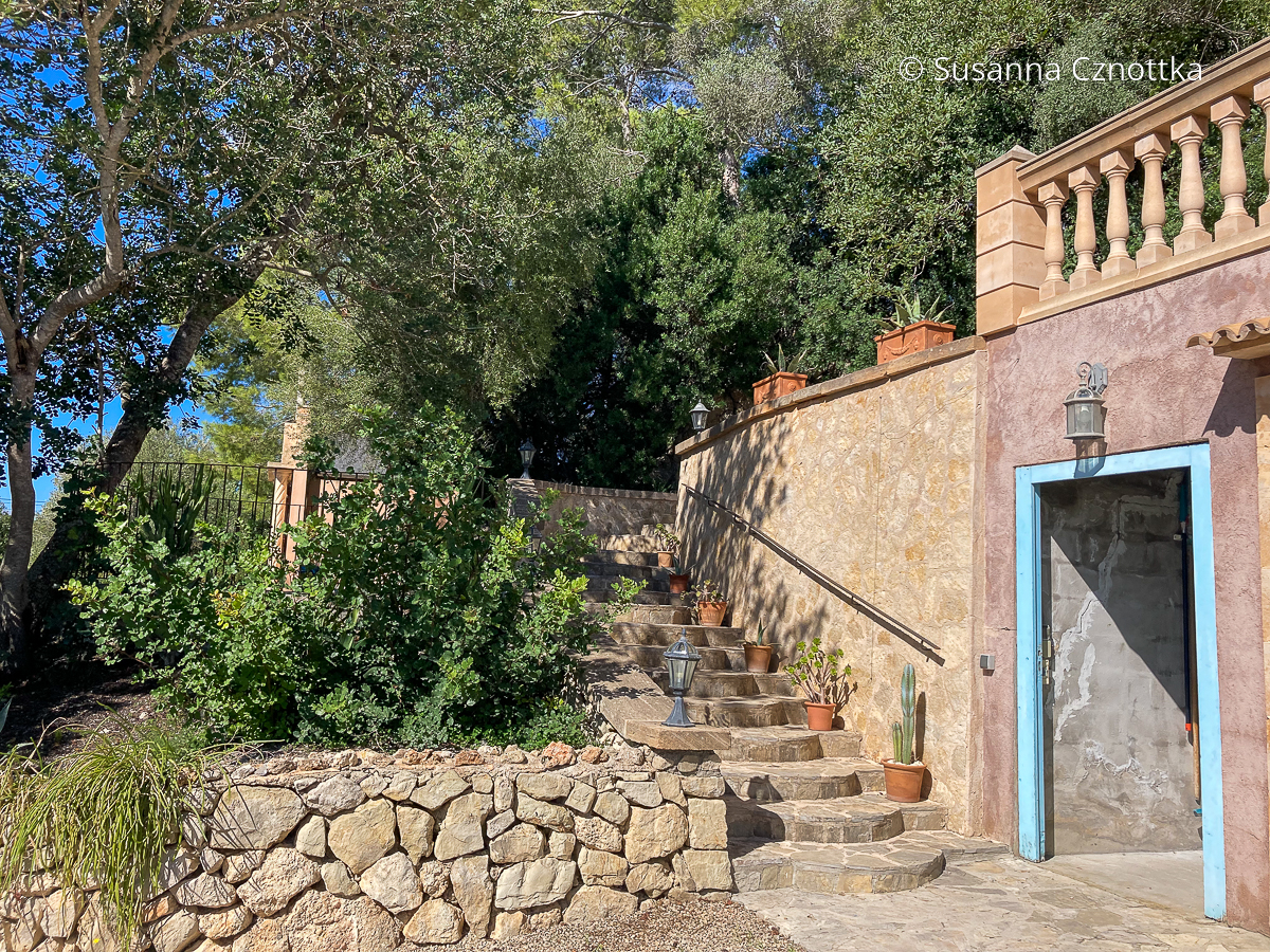 Mediterraner Garten: ein malerischer Treppenaufgang mit Pflanzen in Terracottatöpfen