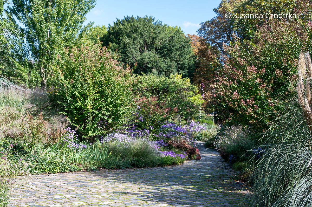 Herbst im Luisenpark: ein Gartenweg zwischen Pflanzungen mit Gehölzen und Stauden Herbst im Luisenpark: ein Gartenweg zwischen Pflanzungen mit Gehölzen und Stauden