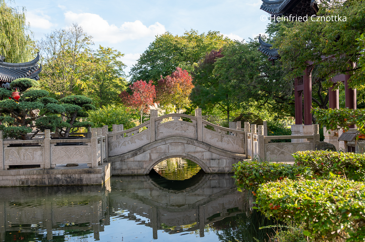 Chinesische Brücke und erste Laubfarben im Luisenpark in Mannheim Chinesische Brücke und erste Laubfarben im Luisenpark in Mannheim