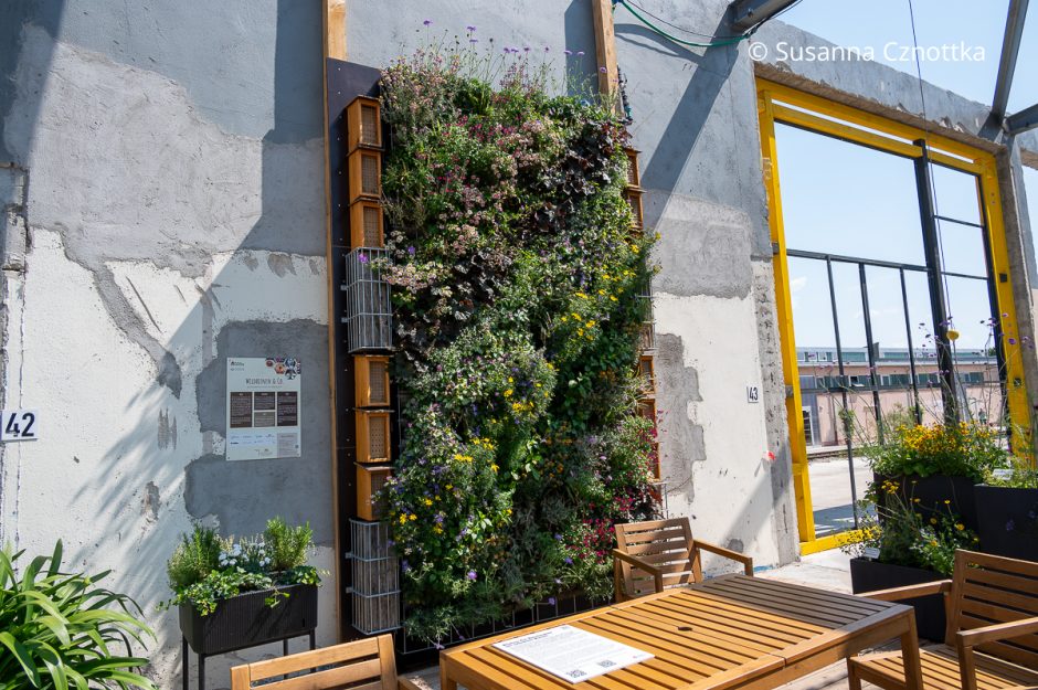 Die Bundesgartenschau 2023 in Mannheim Einfach Garten