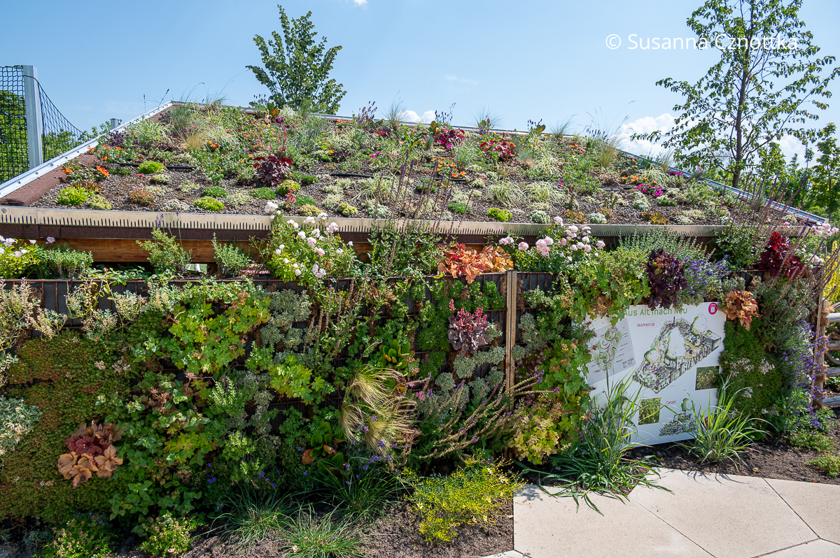Vertical gardening: Gartenhaus mit Dach- und Wandbegrünung
