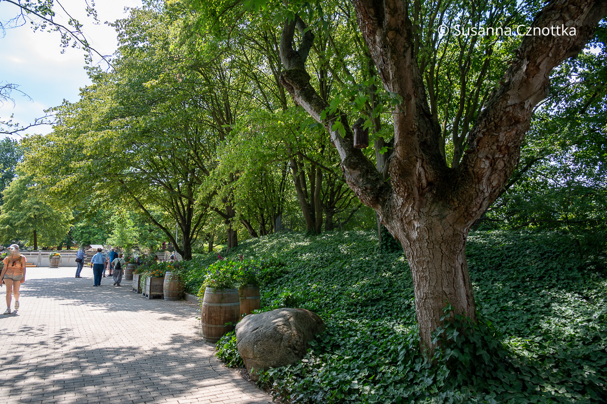 Luisenpark Mannheim: Bäume spenden Schatten