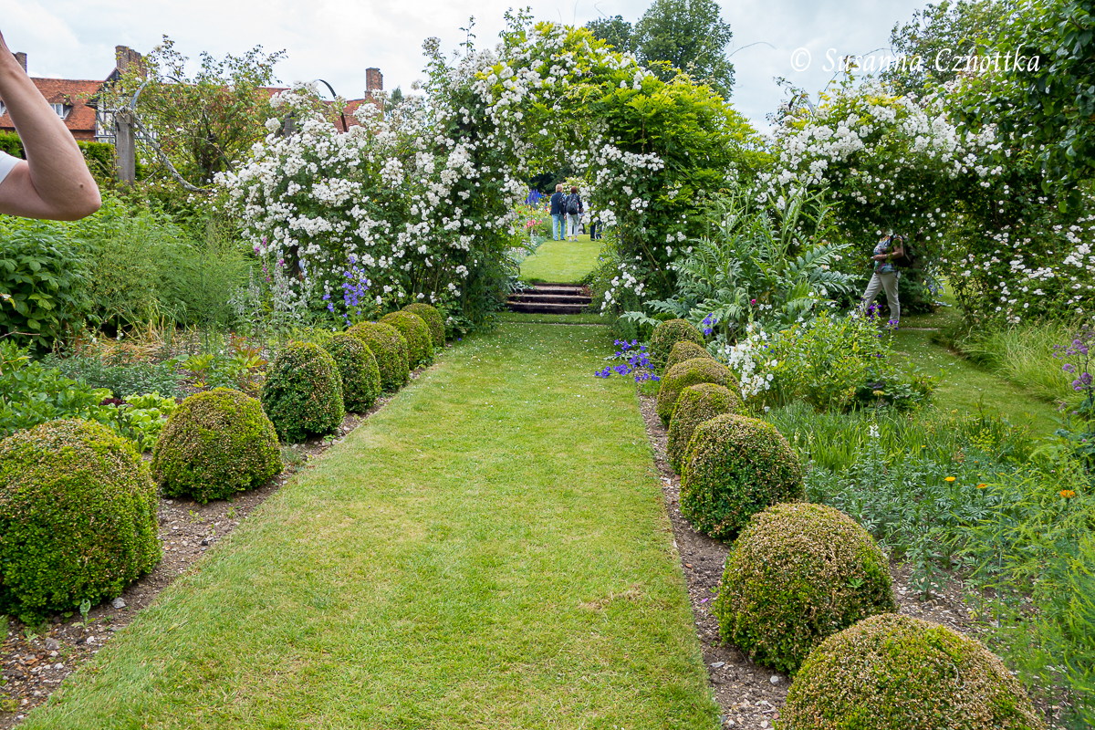 Cottagegarten: Rasenweg durch einen Rosenbogen mit üppig blühender Rose