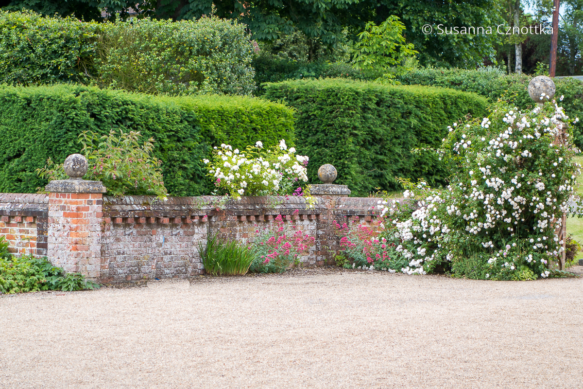 Eine halbhohe Gartenmauer mit üppigen Rosen