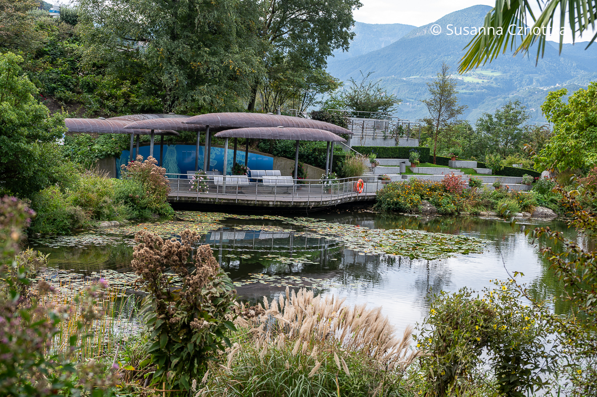 Blick über einen mit Seerosen bewachsenen Teich zu einem überdachten Sitzplatz
